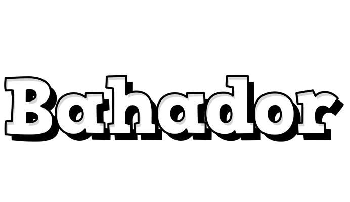 Bahador snowing logo