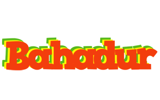 Bahadur bbq logo