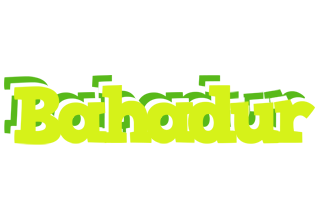 Bahadur citrus logo