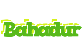 Bahadur picnic logo
