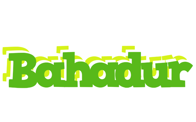 Bahadur picnic logo