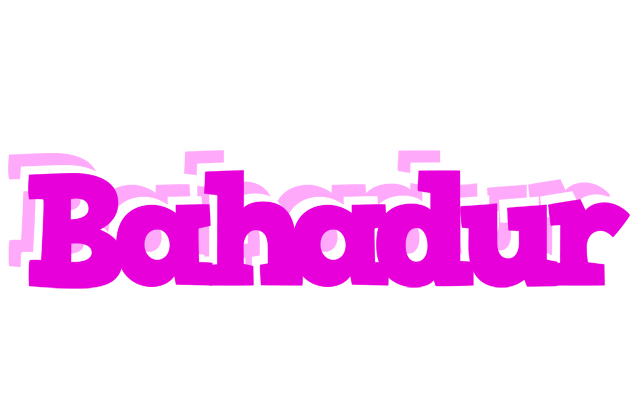 Bahadur rumba logo