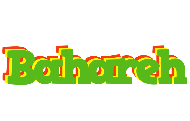 Bahareh crocodile logo