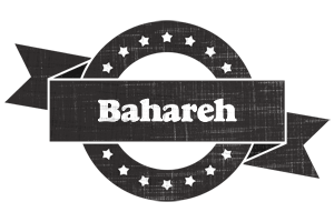 Bahareh grunge logo