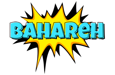 Bahareh indycar logo