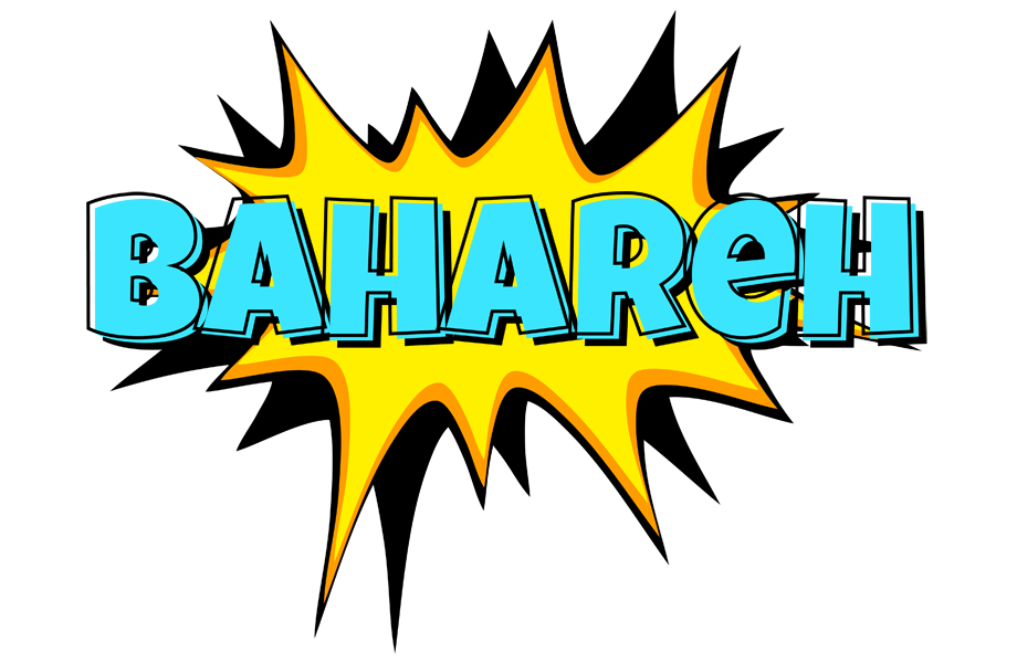 Bahareh indycar logo