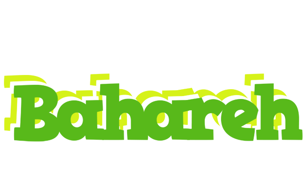 Bahareh picnic logo