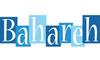 Bahareh winter logo