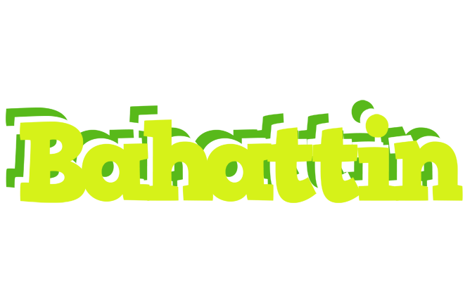 Bahattin citrus logo