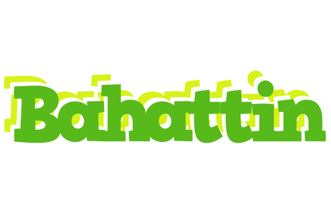 Bahattin picnic logo