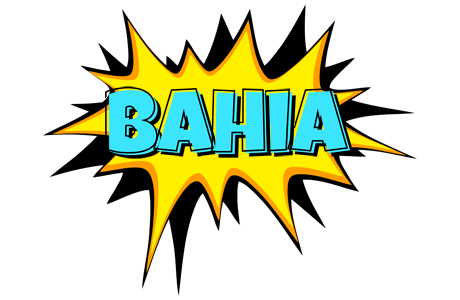 Bahia indycar logo