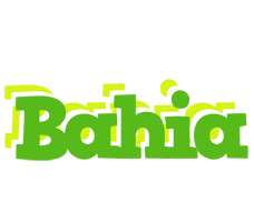 Bahia picnic logo