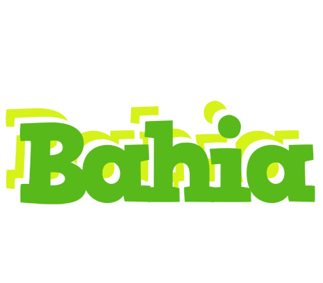 Bahia picnic logo