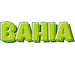 Bahia summer logo