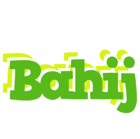 Bahij picnic logo