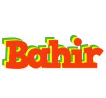 Bahir bbq logo