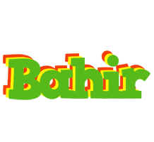 Bahir crocodile logo
