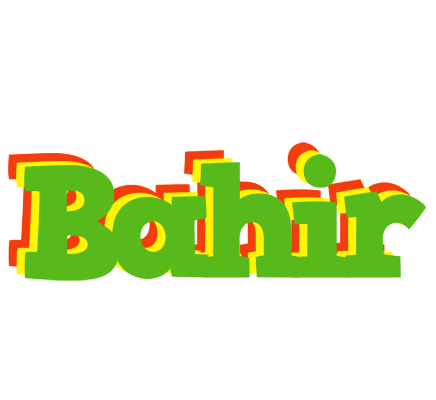 Bahir crocodile logo