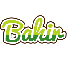 Bahir golfing logo