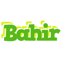 Bahir picnic logo