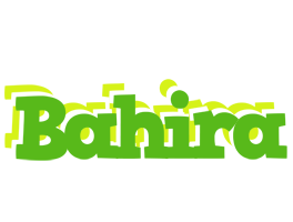 Bahira picnic logo