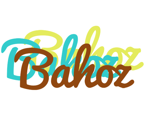 Bahoz cupcake logo