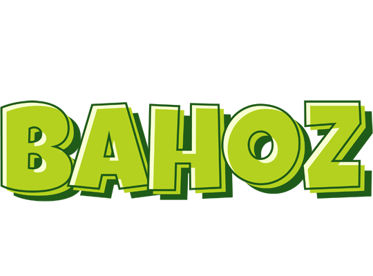 Bahoz summer logo