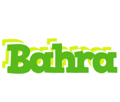 Bahra picnic logo