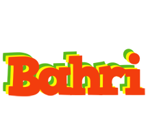 Bahri bbq logo