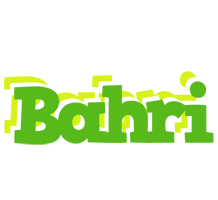 Bahri picnic logo