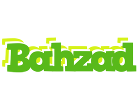 Bahzad picnic logo