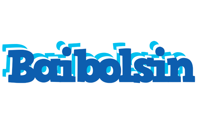 Baibolsin business logo