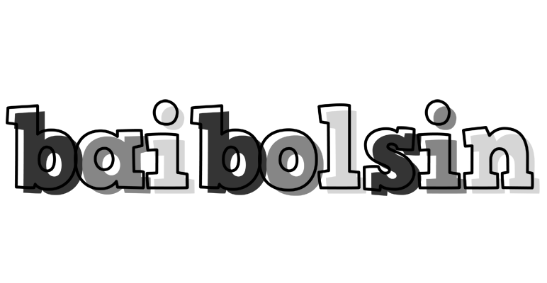 Baibolsin night logo