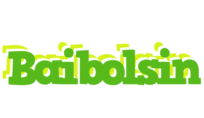 Baibolsin picnic logo