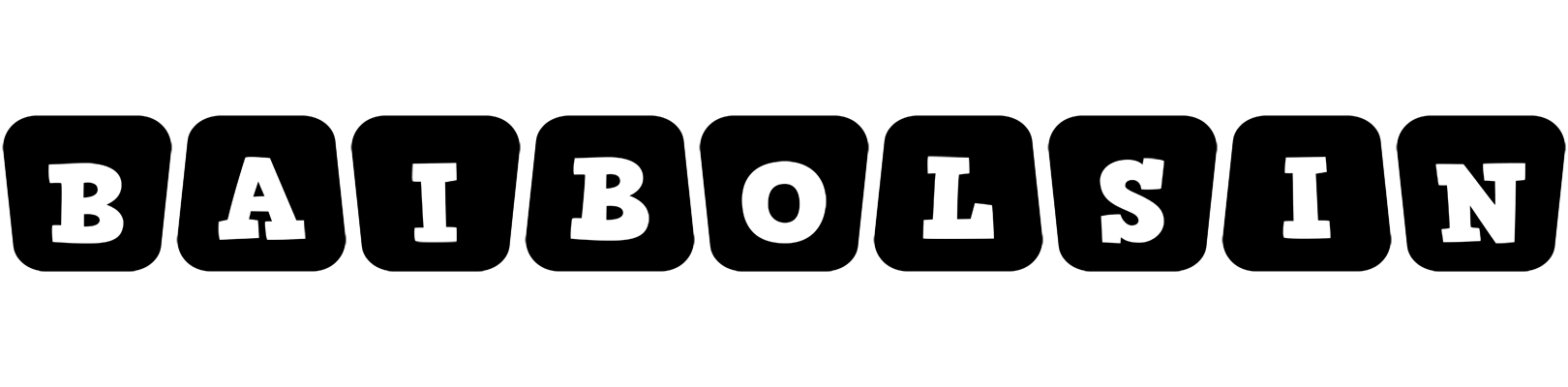Baibolsin racing logo