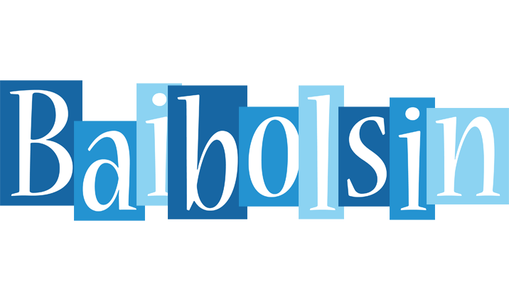 Baibolsin winter logo