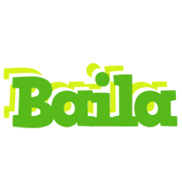 Baila picnic logo