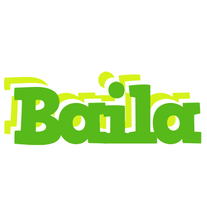 Baila picnic logo