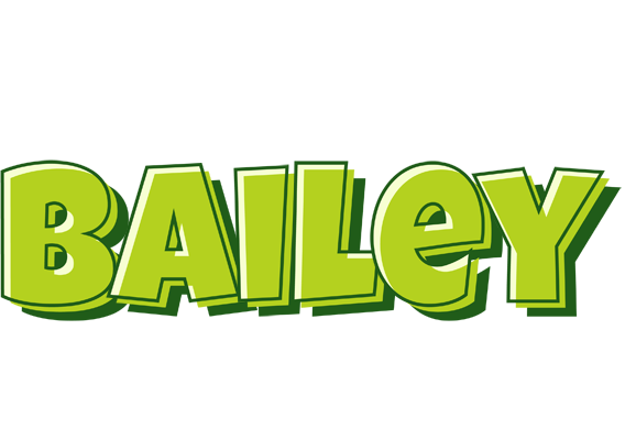 Bailey summer logo