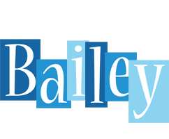 Bailey winter logo