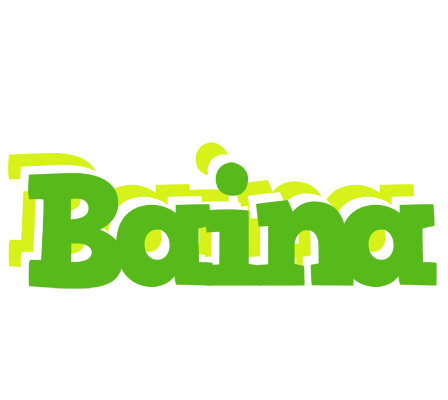 Baina picnic logo