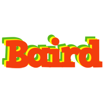 Baird bbq logo