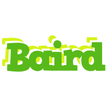 Baird picnic logo