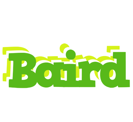 Baird picnic logo