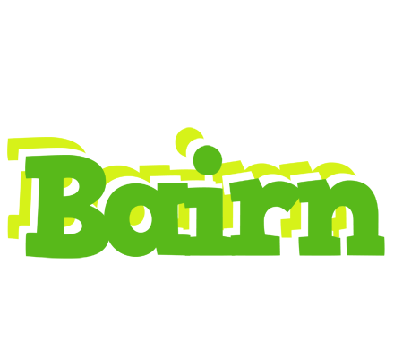 Bairn picnic logo