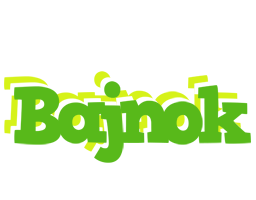 Bajnok picnic logo