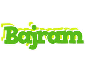 Bajram picnic logo