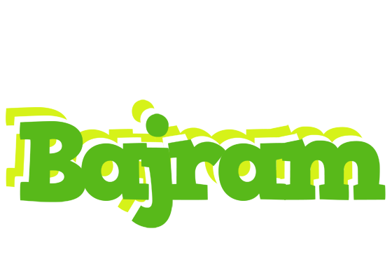 Bajram picnic logo