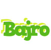 Bajro picnic logo