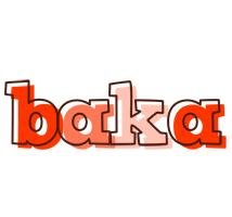 Baka paint logo